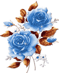 pic for blue roses